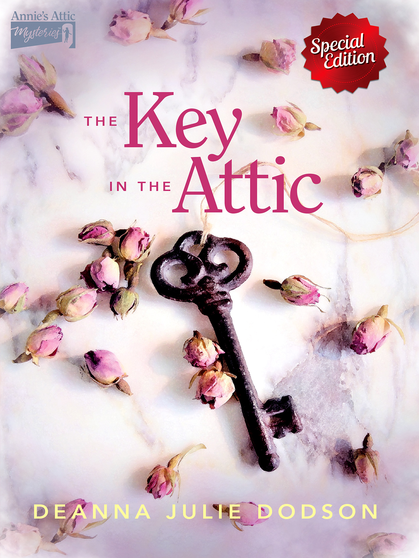 The Key in the Attic photo